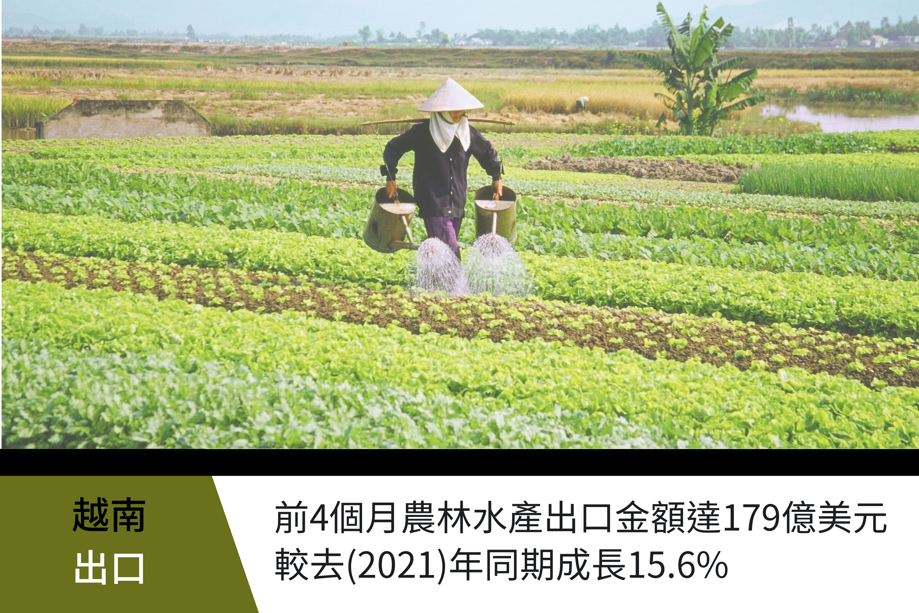 越南前4個月農林水產出口金額成長15.6%