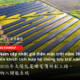越南太陽能躉購電價
